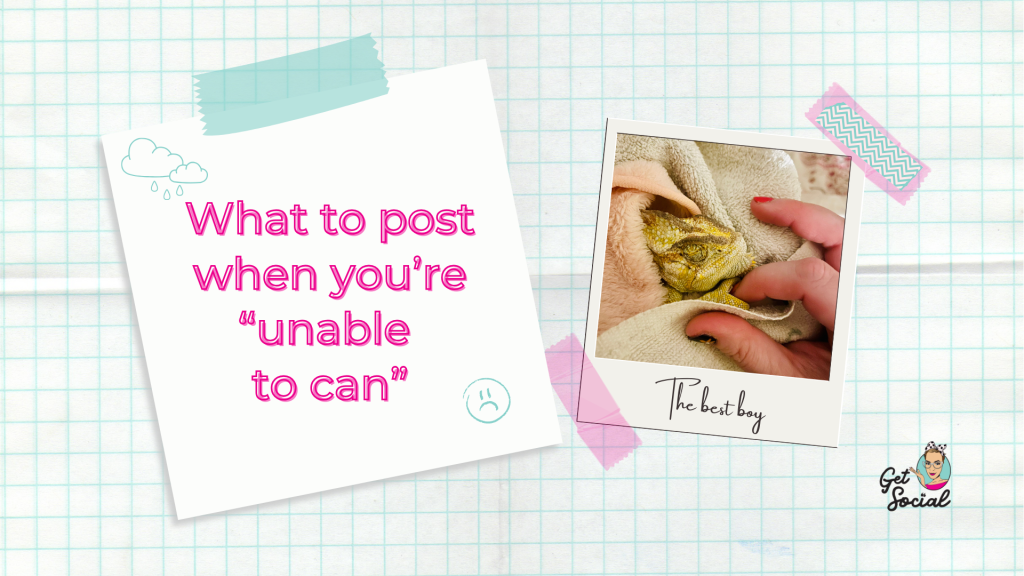 A blog banner with a polaroid image of Pascal the chameleon snuggled in a blanket holding Laura-Anne's hand, with the caption "what to post when you're unable to can"
